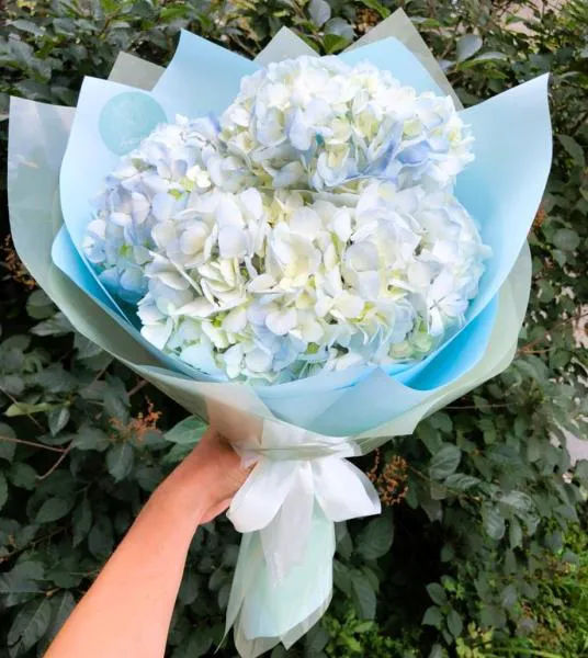 Очарование небес