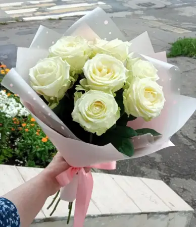 Шарм нежности